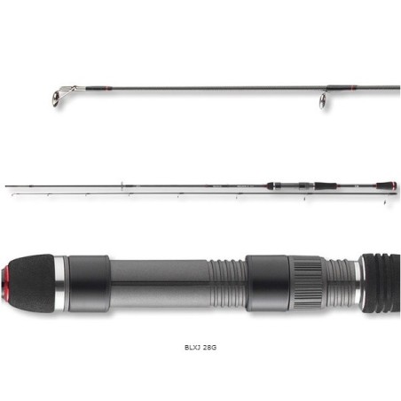Canne à Pêche Daiwa Exceler Jiggerspin 1002L - 2 Brins, 3,05 M, Puissance 3-18 G - Action Rapide, Pour Jig Et Distance