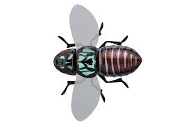 JACKALL VOBLERIS BUGDOG